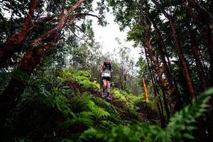 BIB: 
                            <button type="button" onclick="openModal(26201005)" class="btn btn-primary btn-sm float-right btn-popup" data-toggle="modal" data-target=".modal-high-quality">
                        <i class="fas fa-shopping-cart"></i> Add to Cart
                    </button>
                                            <button type="button" onclick="isThisMe(26201005, true)" class="btn btn-success btn-sm float-right btn-popup btn-isme hidden" data-toggle="tooltip" data-placement="bottom" title="นี่คือรูปของคุณใช่ไหม คลิกที่นี่เพื่อเอาเข้าอัลบั้ม">
                        <i class="fas fa-plus"></i> Add to album
                    </button>
                    <button type="button" onclick="isThisMe(26201005, false)" class="btn btn-warning btn-sm float-right btn-popup btn-isnotme hidden">
                        <i class="fas fa-ban"></i> Remove from album
                    </button>